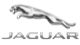 Jaguar Jaguar